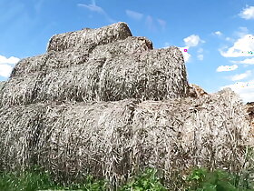 Cheer up amateurish coupler fucks involving haystacks - Pharos burr porn